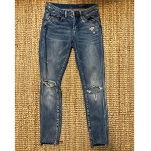 Blank NYC The Mini Reade Distressed Skinny Jean